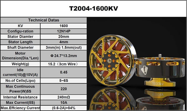 Ummagawd Aerolite 2004 Motor