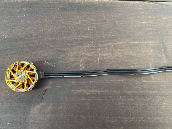 Ummagawd Aerolite 2004 Motor