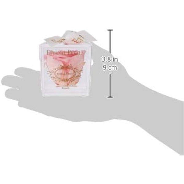 100% Real Rose That Lasts A Year | Single Pink Rose in Box | Unique Birthday Gift