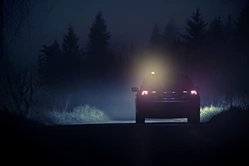 OSRAM LEDSL102 Ledguardian Road Flare Sign V16 Emergency Light for Cars, Breakdown Light, Car Emergency Beacon, Round Safety Warning Light for Vehicles and Motorcycles