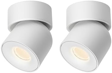 Aisilan 2 Pack White Ceiling Spotlight Dimmable 9W LED Warm White Rotatable 360° Adjustable Ceiling Single Spot Light for Wall Painting, Gallerie, Art, Living Room, Stairs, Corridor