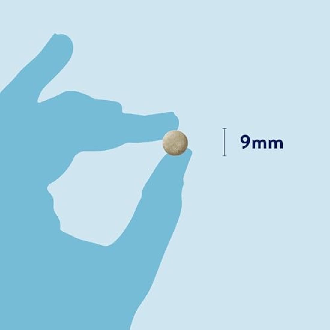 Dorwest Raspberry Leaf Tablets for Dogs And Cats, 200 Tablets, Pregnancy Support For Pets – For Natural Hormonal Balance and Phantom Pregnancies