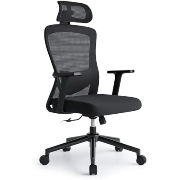 Eucladoceros Office Chairs,Ergonomic Desk Chairs with Adjustable Lumbar Support,2D Headrest & Armrest 120° Rocking High Back Mesh Executive Office Chair for home, Desk Chair, Black