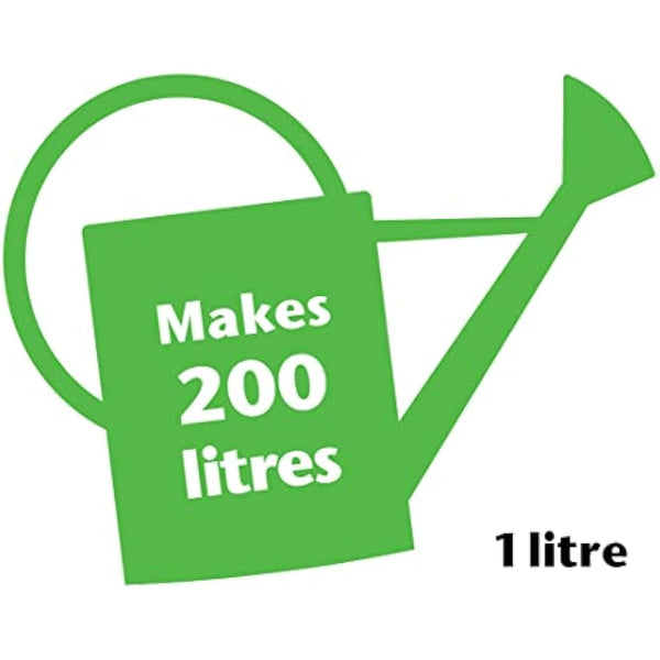 Growth Technology Ltd,1L,Black Palm Focus 1 Litre