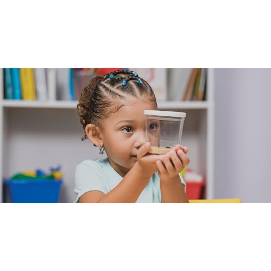 Insect Lore Butterfly Garden (Packaging May Vary)