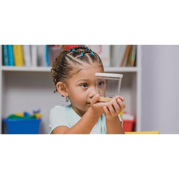 Insect Lore Butterfly Garden (Packaging May Vary)