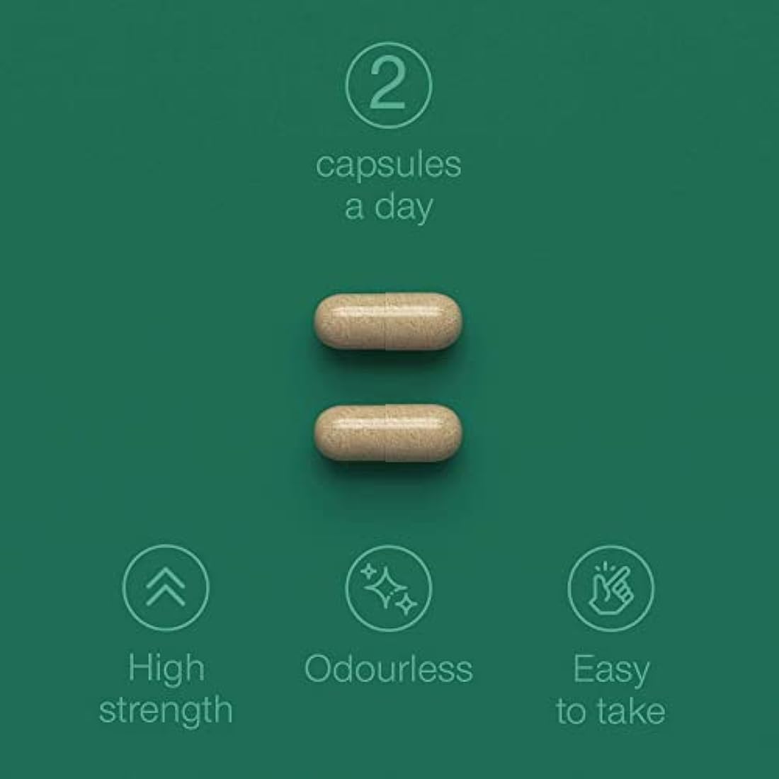 Green Lipped Mussel for Humans & Dogs - New Zealand Green Lipped Mussel Capsules 1000mg - High Strength Joint & Mobility Supplement with Omega 3-100% Pure Powder - 90 Tablets - Made in The UK