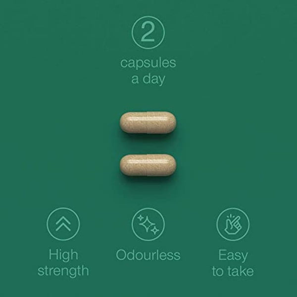 Green Lipped Mussel for Humans & Dogs - New Zealand Green Lipped Mussel Capsules 1000mg - High Strength Joint & Mobility Supplement with Omega 3-100% Pure Powder - 90 Tablets - Made in The UK