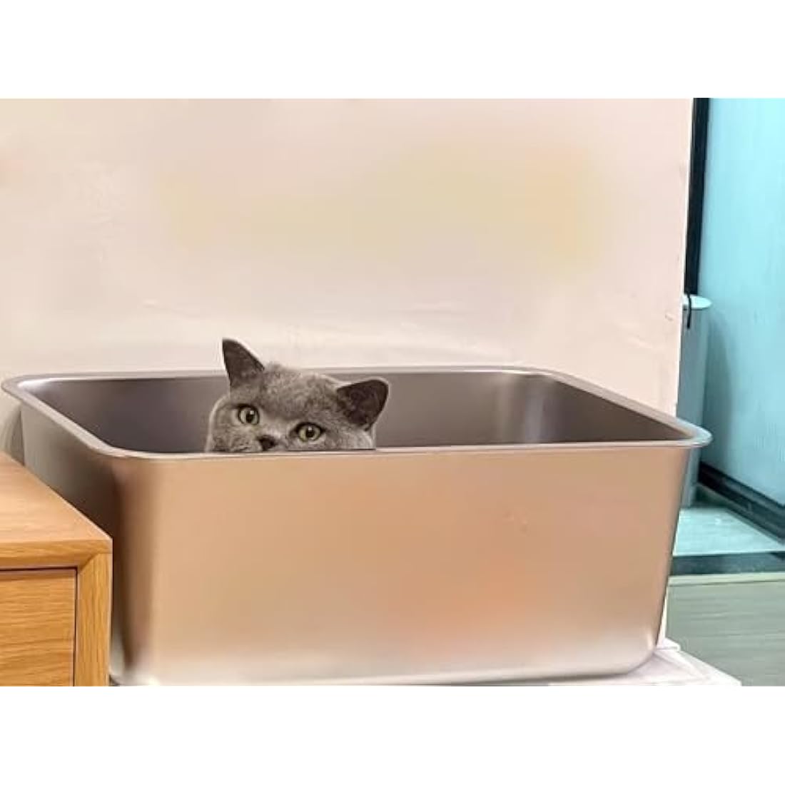 IKITCHEN Stainless Steel Cat Litter Box, Large Metal Litter Box for Cats Rabbits, Never Absorbs Odors,Stain Free, Rustproof, Non Stick Smooth Surface, Anti-slip Rubber Bottom, 19.5"L x 13.5"W x 8"H
