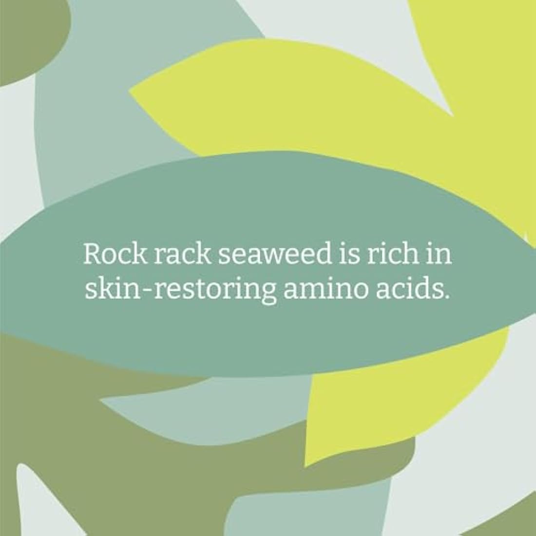 Faith In Nature Natural Seaweed & Citrus Shampoo, Detoxifying for Oily Hair & Scalp, Vegan & Cruelty Free, No SLS, Silicones or Parabens, 5L Refill Pack