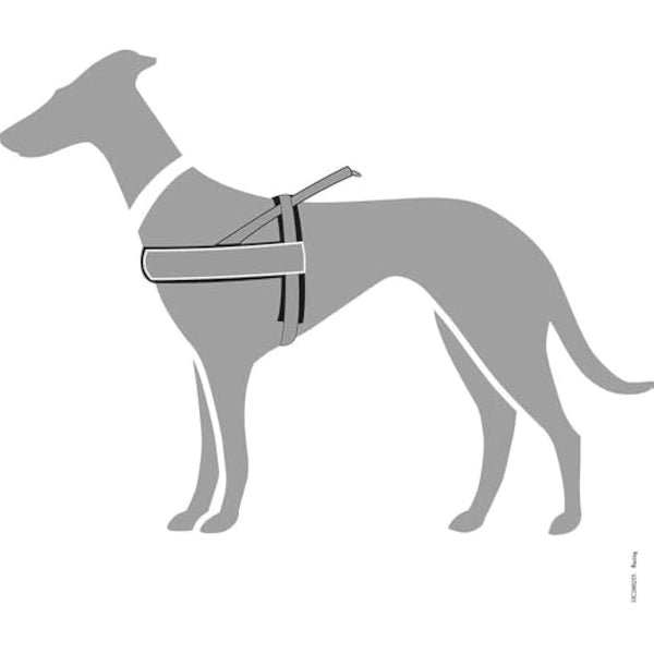 Hunter Racing Norwegian harness for dogs, nylon, reflective, coat-friendly, Black, L