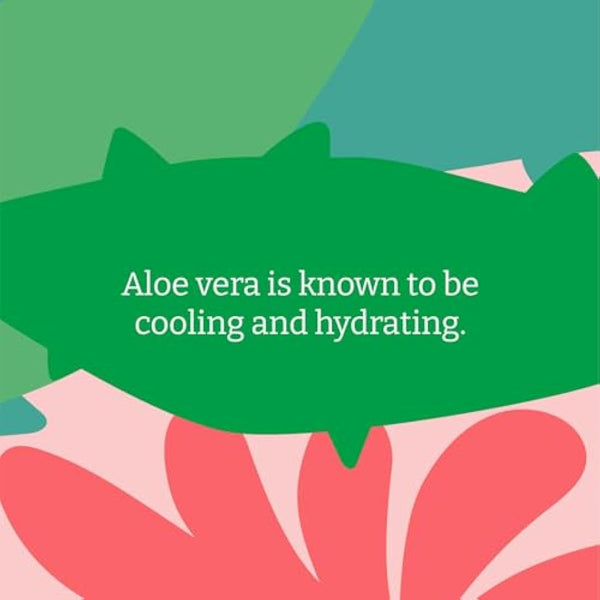 Faith In Nature Natural Aloe Vera Body Wash, Soothing Shower Gel, Vegan & Cruelty Free, No SLS or Parabens, 5L Refill Pack