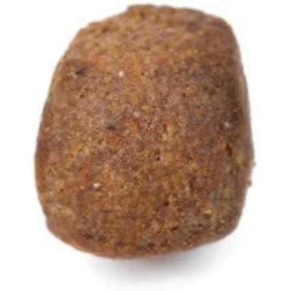 Arden Grange Adult Premium Dry Dog Food Rich in Fresh Chicken and Rice, 12 kg