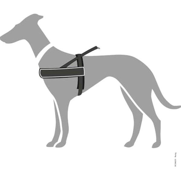 HUNTER RACING Norwegian Harness, XXL, black