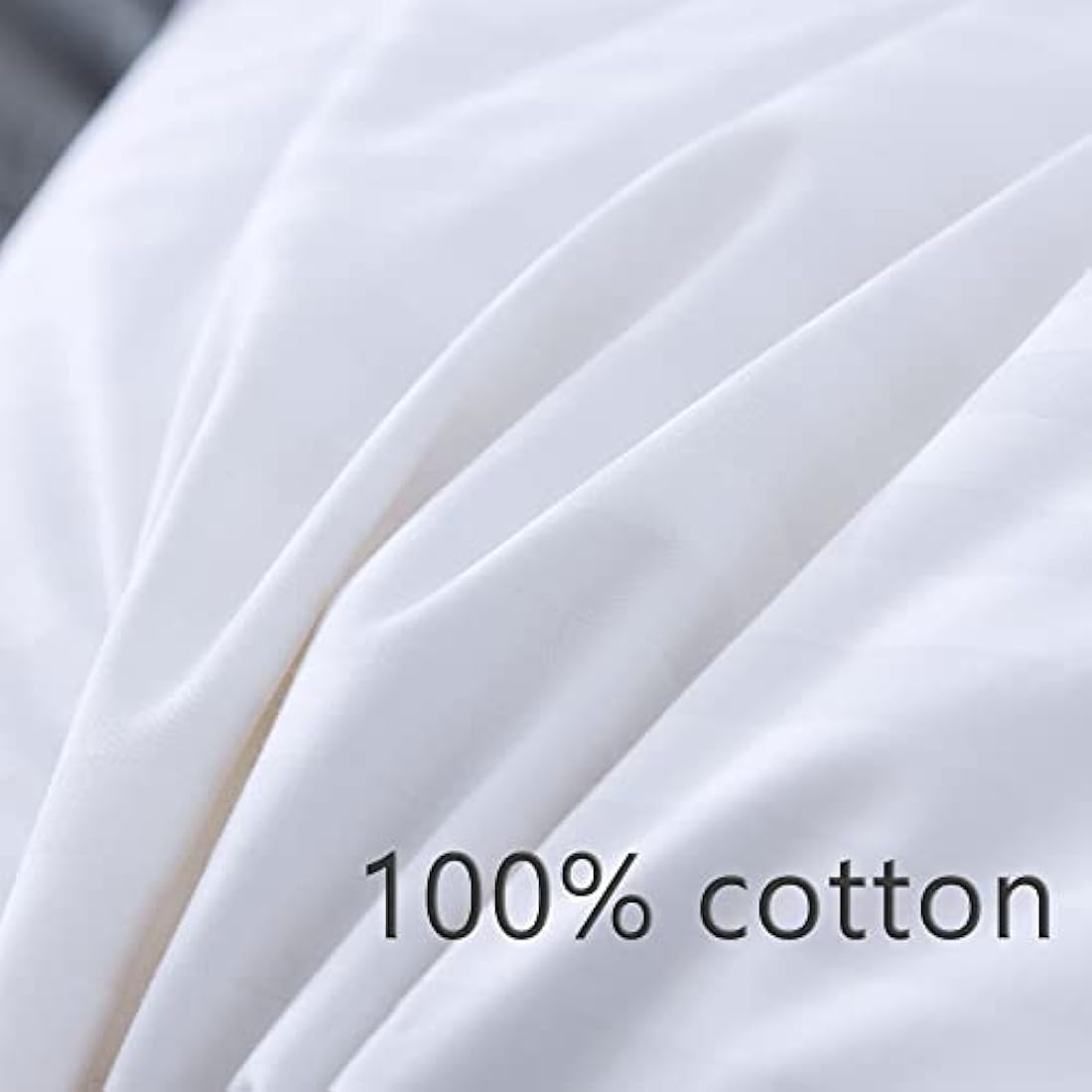 ANALIN 2 pack Goose Feather Down Pillows, 100% Cotton Shell, Non-allergenic & Anti dust mite, Soft Hotel Quality Pillows (50% Goose Down)