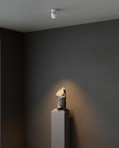 Aisilan 2 Pack White Ceiling Spotlight Dimmable 9W LED Warm White Rotatable 360° Adjustable Ceiling Single Spot Light for Wall Painting, Gallerie, Art, Living Room, Stairs, Corridor