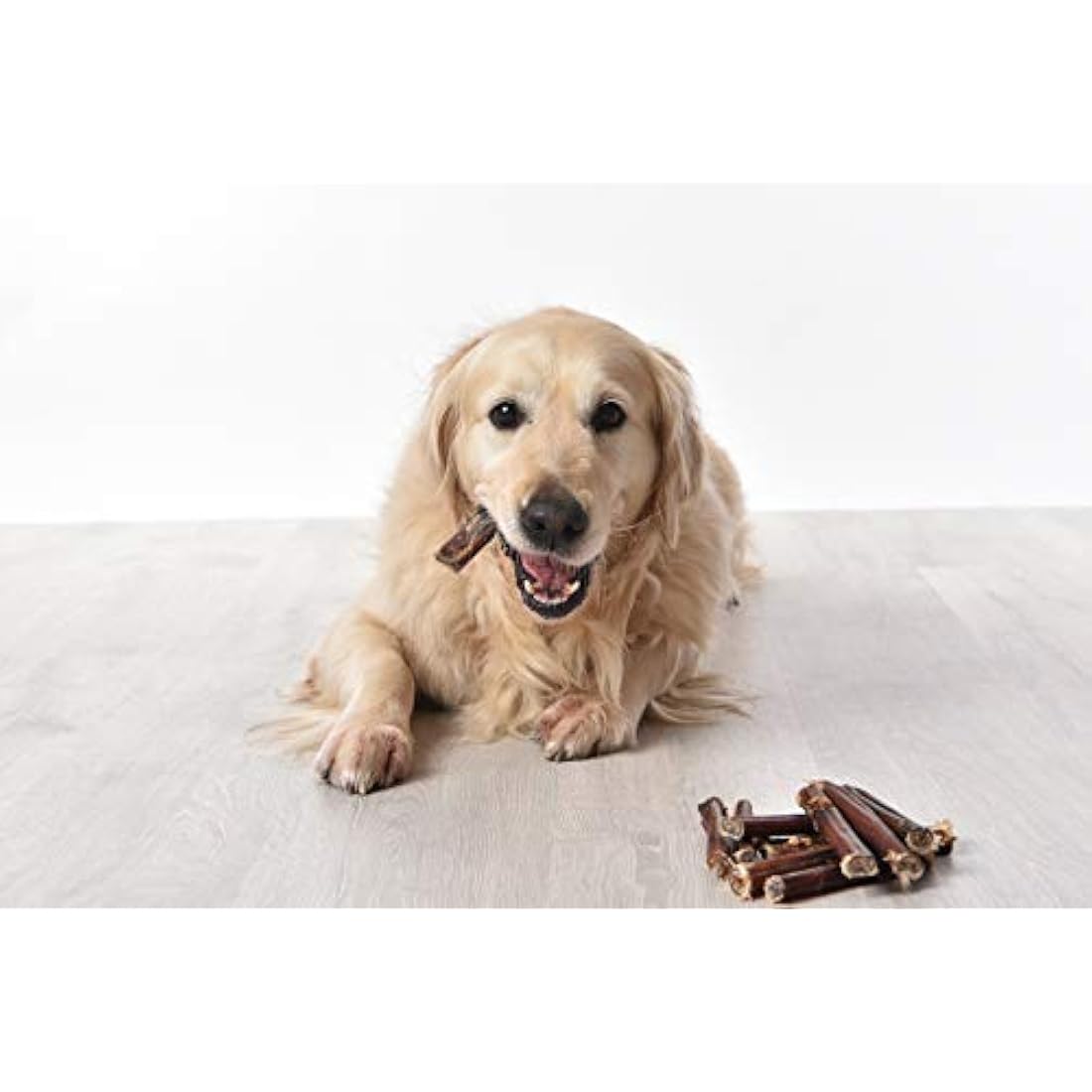 Dragonfly Products. 10 x 15cm Thick Bulls Pizzle Bully Sticks for Dogs & Puppies - Healthy, Natural Dog Thick Treats Chews