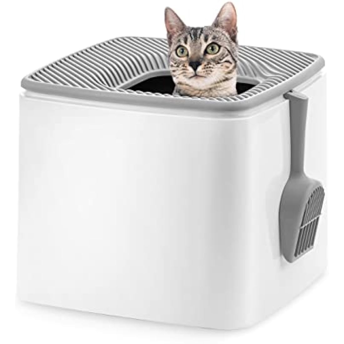 IRIS USA Premium Top Entry Cat Litter Box PRCL-SQ, White
