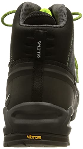 Salewa Alp Trainer Mid Gore-Tex Men's Boots