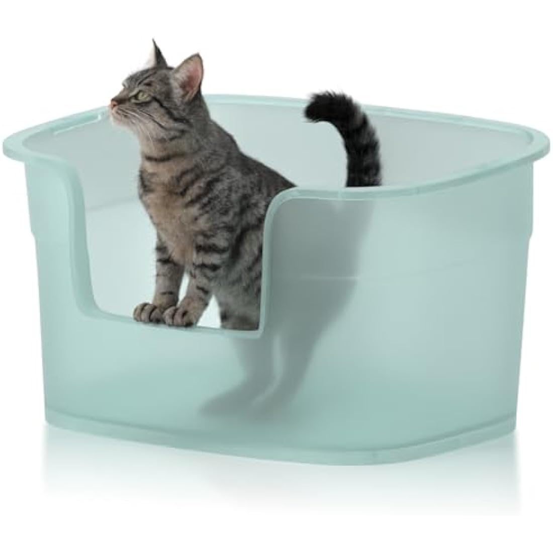 Extra Large Cat Litter Tray, 63cm x 45cm x 33cm Deep, Easy Cleaning, Lowered Entry, Anti-Spillage, Transparent Green
