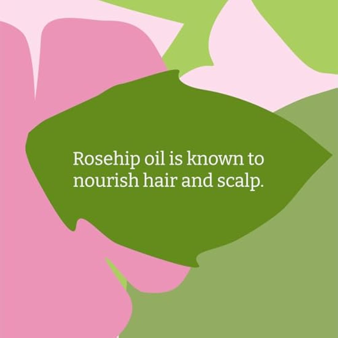 Faith In Nature Natural Wild Rose Conditioner, Nourishing for Normal Hair & Scalp, Vegan & Cruelty Free, No SLS, Silicones or Parabens, 5L Refill Pack