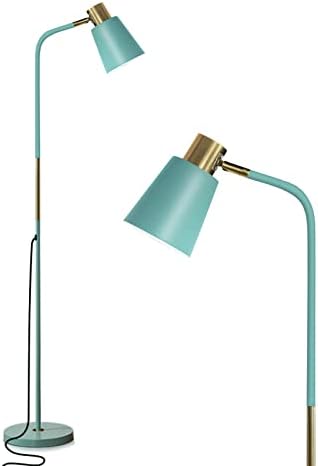 Floor Lamp, Industrial Floor Lamps Corner Lamp Rustic Farmhouse Standing Lamp, Adjustable Metal Heads Indoor Task Lighting Reading Floor Lamps for Living Room, Bedroom, E27 Socket (Green)