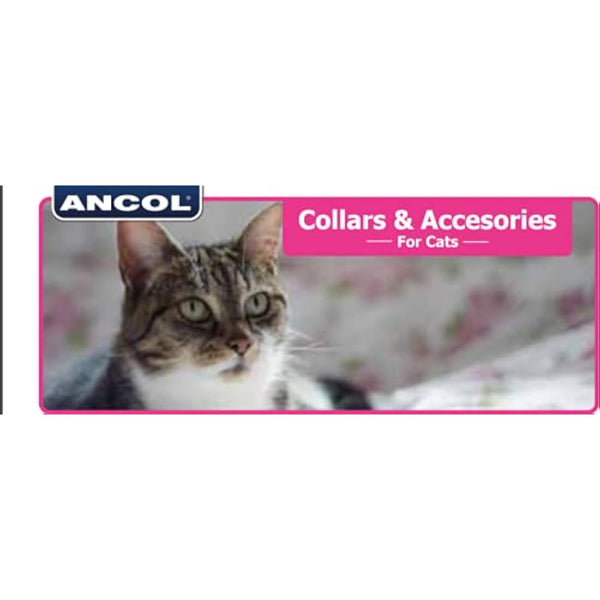 Ancol Hi-Vis Safety Kitten Collar Neon Pink Reflective Adjustable Break Away Buckle Light Bell Low Light Visibility Pet Safety Neckband One Size