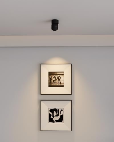 Aisilan 4 Pack Single Spotlight in Matt Black Dimmable 9W 3000K LED Adjustable 360° Spot Light Indoor Modern Rotatable Individual Spotlights for Ceiling or Wall Mounted