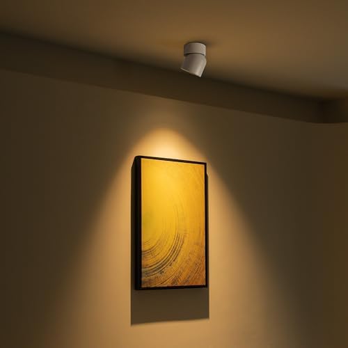 Aisilan 4 Pack Single Spotlight in Matt White Dimmable 9W 3000K LED Adjustable 360° Spot Light Indoor Modern Rotatable Individual Spotlights for Ceiling or Wall Mounted