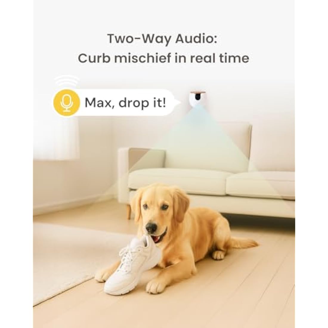 Furbo Mini Pet Camera [Basic]: Small Camera, Big Safety & Peace of Mind | Pet Monitor w/Phone App, Colour Night Vision, 2-Way Audio, Barking or Meowing Alerts, Designed for Dogs or Cats, Indoor Cam