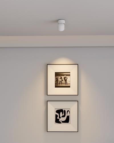 Aisilan 4 Pack Single Spotlight in Matt White Dimmable 9W 3000K LED Adjustable 360° Spot Light Indoor Modern Rotatable Individual Spotlights for Ceiling or Wall Mounted