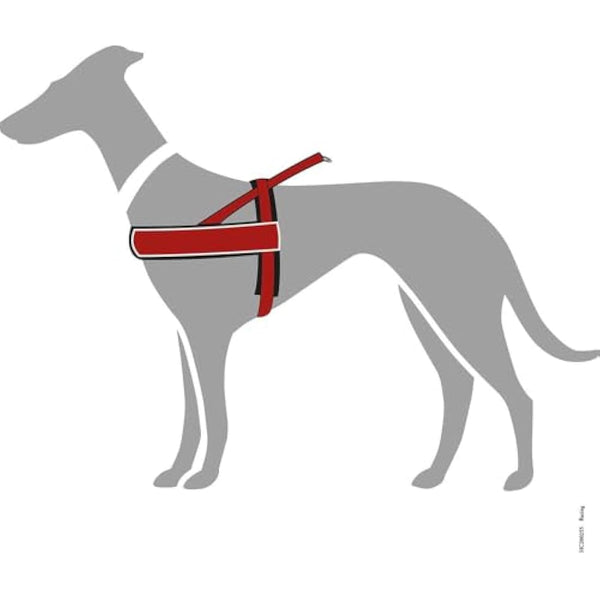 Hunter Racing Norwegian harness for dogs, nylon, reflective, coat-friendly, Brown, XXL