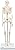 3B Scientific Mini Human Skeleton Model Shorty - Pelvic Mounted on a Base A18 + free Anatomy App - 3B Smart Anatomy