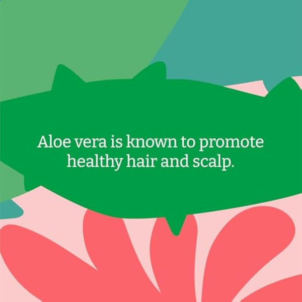 Faith In Nature Organic Aloe Vera Conditioner, Soothing for Normal Hair & Scalp, Vegan & Cruelty Free, No SLS, Silicones or Parabens, 5L Refill Pack