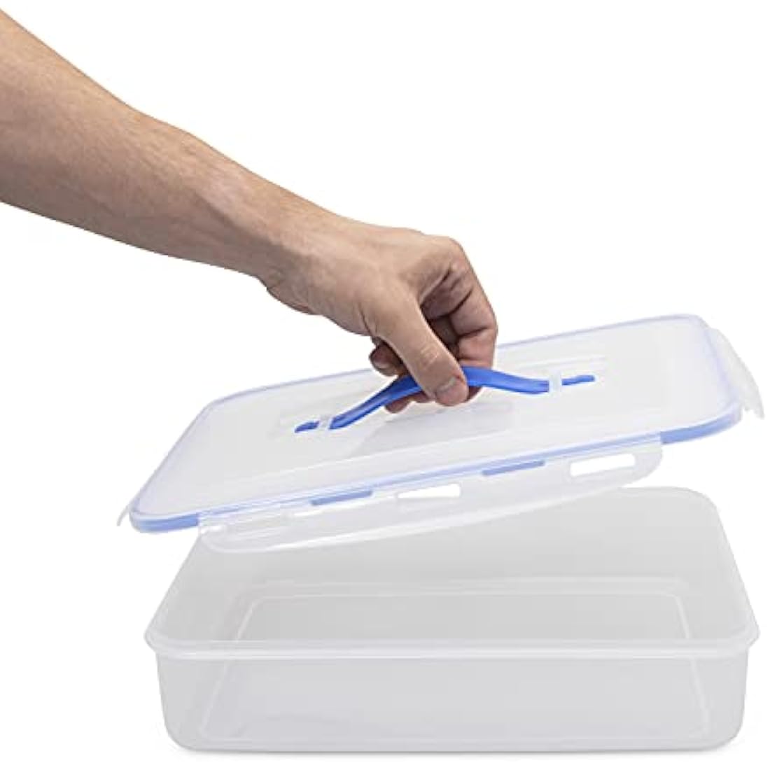 Lymn Dough Proofing Box - 32 x 23 x 8 cm - Premium Home Baking Container for Bread Fermentation, Fits in Refrigerator - Use for Pizza, Marinating, Vegetable Storage, Complete with Dough Cutter