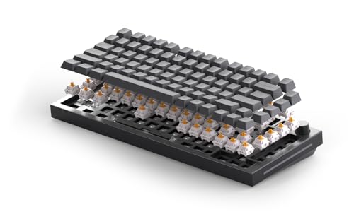Glorious Gaming GMMK PRO 75% Barebones (Frame Only) - Modular Mechanical Gaming Keyboard, TKL Size (75%), 1.5kg Frame, RGB, Customisable, 5-Pin Switch Support, International/ISO Layout - Black Slate