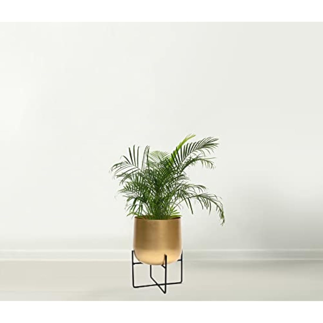 Gold Plant Pot with Black Plant Stand - Gold Planters Large Indoor