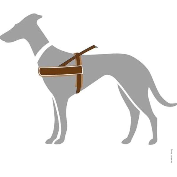 Hunter Racing Norwegian harness for dogs, nylon, reflective, coat-friendly, Black, L