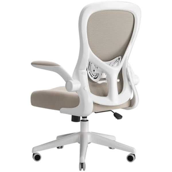 Hbada Ergonomic Desk Chair, Computer Office Chair with Flip-up Armrest&Lumbar Support, Adjustable Height, Grey