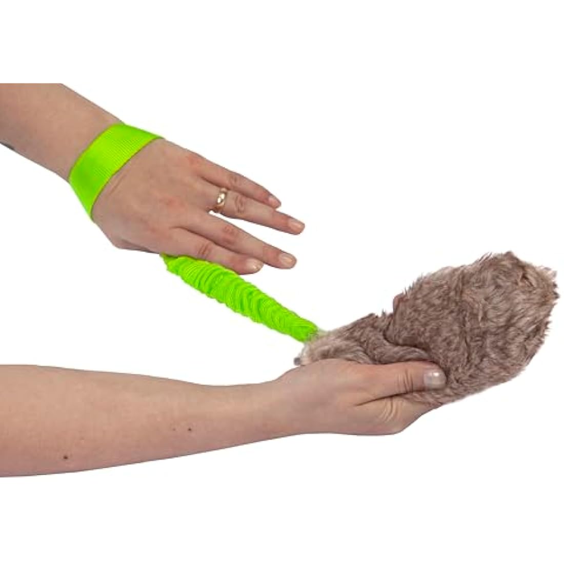 DINGO Fleece Dog Toy Artificial Fur Racer Squeaky Teaser Dog Wand 55 cm Long Bungee Handle for Agility, Dog Training, Reward, Retrieve, Chasing, Play Green 15584-2 , Pack of 1