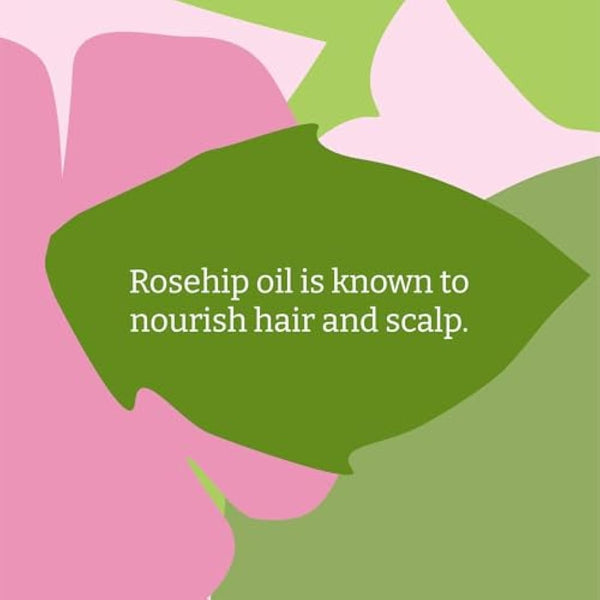 Faith In Nature Natural Wild Rose Shampoo, Nourishing for Normal Hair & Scalp, Vegan & Cruelty Free, No SLS, Silicones or Parabens, 5L Refill Pack