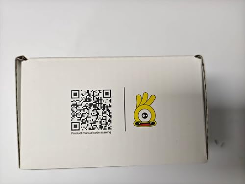 BSEED Double Socket 13A with LED Indicator, Double Switched Wall Socket 2 Gang UK Standard, Electric Switched Plug Power Wall Outlet with Glass Panel, Grey