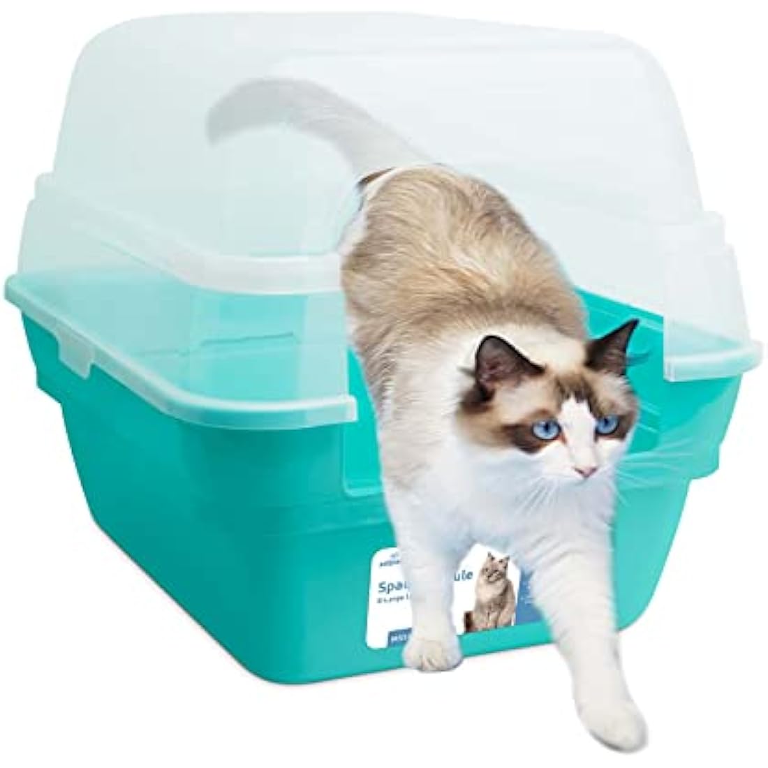 Petfamily 3in1 Large Cat Litter Tray Box with Hood Lid - Teal Plastic Tray, Sturdy & Easy to Clean, 55x45x44cm