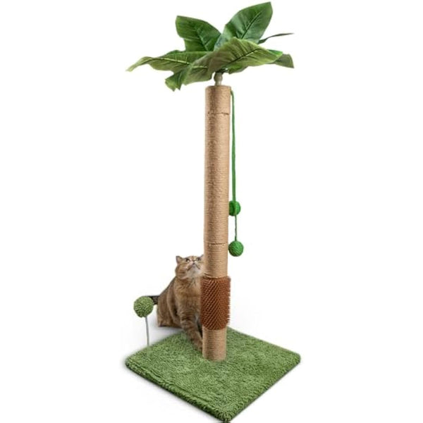 ANWA 35" Tall Cat Scratching Post for Kitten and Large Cats, Scratching Post for Indoor Cats with Self-Grooming Rubber Brush, Cat Sisal Post with Simulated Leaves, Green