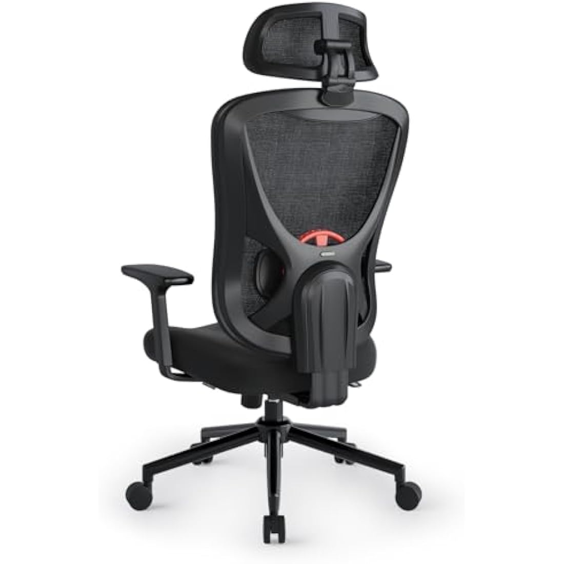 Eucladoceros Ergonomic Office Chair with Adjustable Armrests & Headrest - Lift Up Backrest Desk Chair with 3D Lumbar Support - Tilt 90°-125° - 150KG Weight Capacity - Ideal for Home Office(Black)