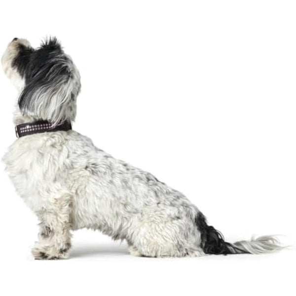 Hunter Softie Deluxe Collar, 35, Black