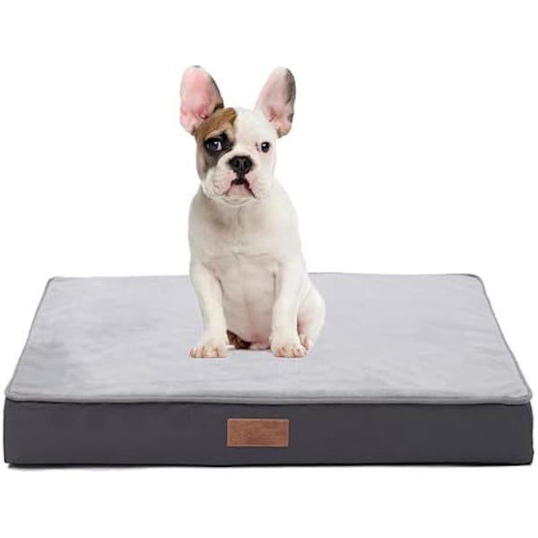 Jaspuriea Small Orthopedic Dog Beds with Waterproof Removable Cover, Anti-Slip Washable Dog Bed, Deluxe Flannel Comfy Dog Crate Mattress, Grey, 60x45x9cm