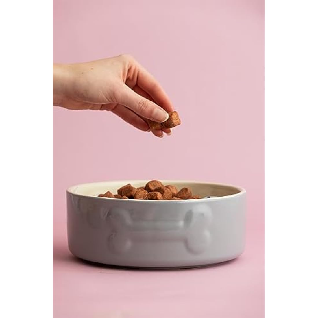 Mason Cash Colour Mix Grey Dog Bowl, 20 cm