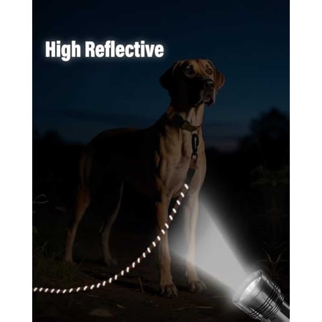 Joytale Training Leads for Dogs, Padded Handle Long Line Dog Lead, 5m 10m 15m 20m Long Leash for Training, Play, Camping, Backyard Tie Out, Orange, 5M