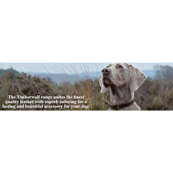 Ancol Handcrafted Heavy Duty Sable Timberwolf Leather Dog Lead - Soft Supple Leather Leash with Industrial Nylon Thread - 1m x 19mm